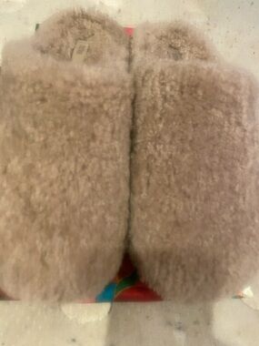 Fitflop Taupe Fuzzy Slide Slippers